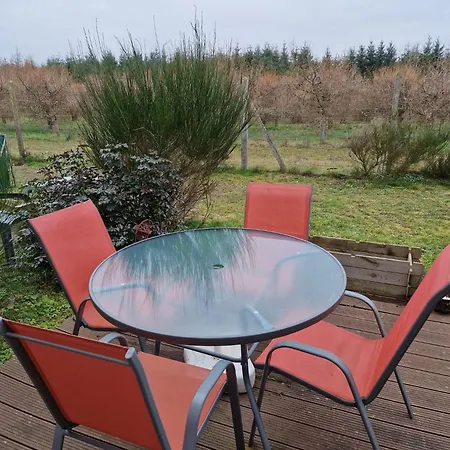 Cottage Avec Terrasse Privative A 15 Km D'Orleans Ardon  Extérieur photo